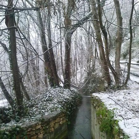 Alojamiento Rural Molino Del Puente 多尔卡 外观 照片